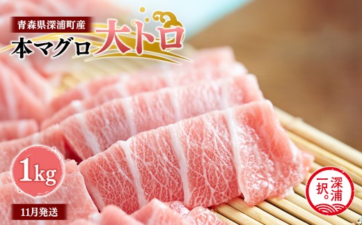 青森県深浦町産 天然本マグロ 大トロ 1kg 200g×5 冷凍柵 深浦マグロ 刺身 海鮮 鮪 まぐろ【fu-0015-020_11】