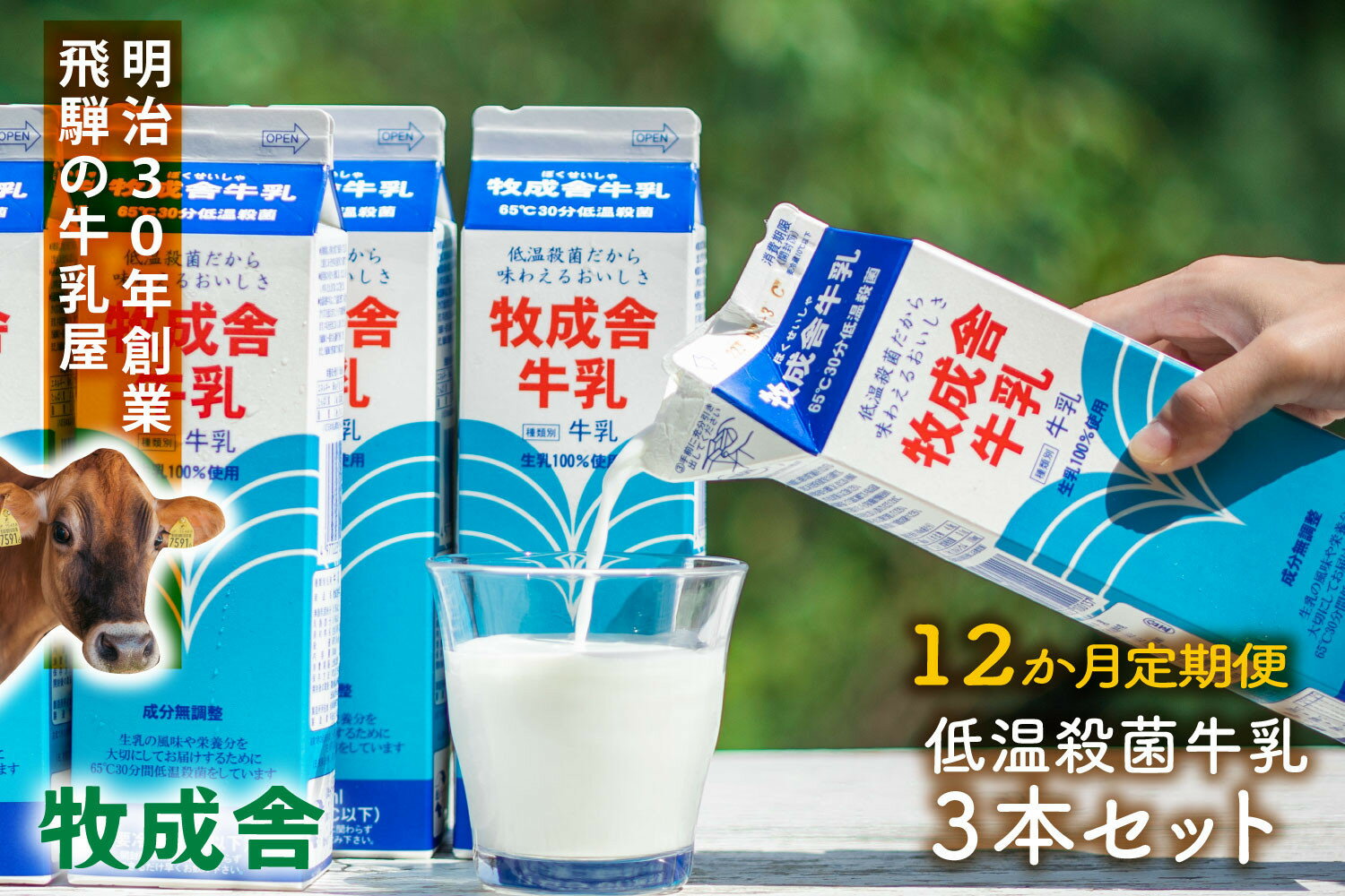 【ふるさと納税】【定期12か月便】牧成舎牛乳1000ml×3本セット｜ミルク 乳製品 飲料 朝食 食生活 牧成舎 DF259