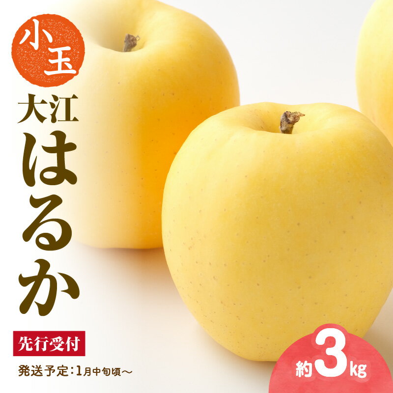 【ふるさと納税】《先行受付》 小玉・大江はるか約3kg（有袋栽培）【2026年1月中旬頃～発送予定】 大江町産 山形 りんご りんご専科 清野 詰合せ リンゴ 林檎 フルーツ 果物 産地直送
