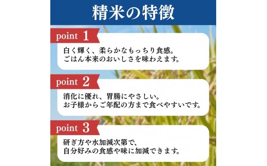 令和8年産 新潟県上越産こしひかり 精米 20kg 上越市 米 コメ コシヒカリ ファインリョーコク