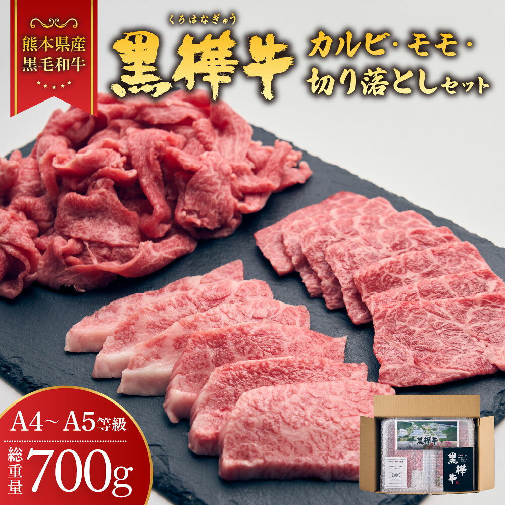 【ふるさと納税】黒樺牛 熊本県産黒毛和牛 A4〜A5等級 焼き肉用 カルビ・モモ・切り落としセット 合計700g 焼き肉 薄切り 切り落とし 食べ比べ 和牛 お肉 牛肉 黒毛和牛 国産 冷凍 送料無料 株式会社 杉本本店