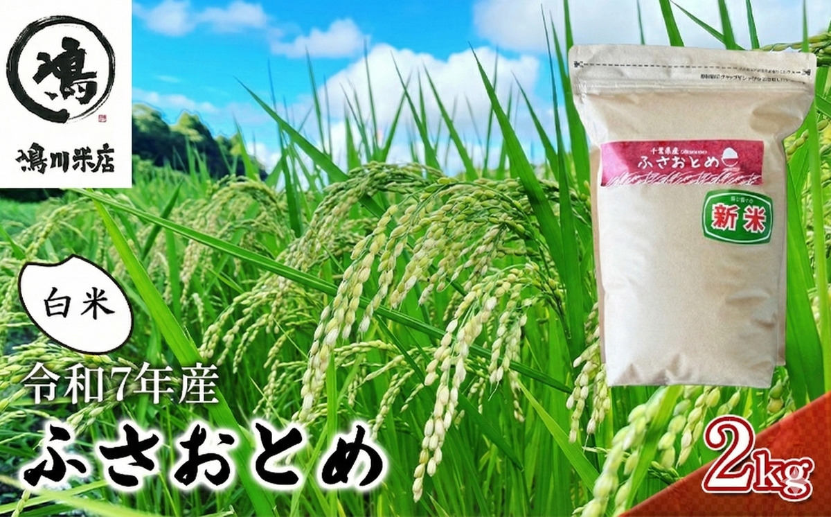 
            米 令和7年 ふさおとめ 2kg  千葉産 白米　【 お米 こめ コメ おこめ 】  [№5346-0098]
          