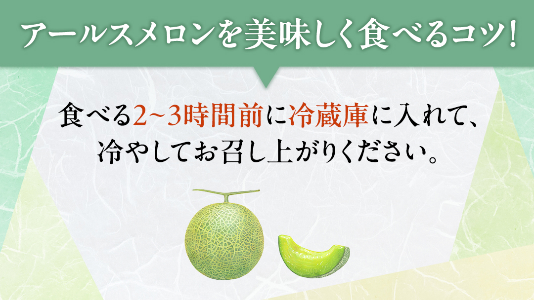 茨城県産 アールスメロン 秀品 3L サイズ × 2玉 入り おすすめ JA全農いばらき JA 【 2024年8月下旬から発送 】 メロン めろん ふるさと納税 フルーツ 予約 マスクメロン くだもの