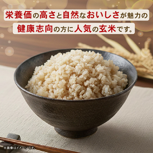【スピード配送】玄米 5㎏ コシヒカリ 令和8年度 玄米