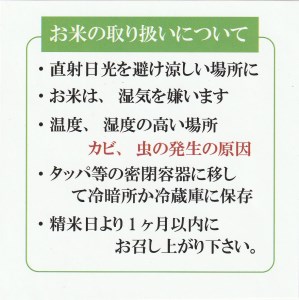 【令和5年産】ひとめぼれ10kg（精白、5kg×2）