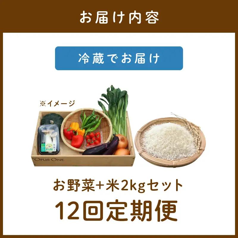 【12回定期便】有機野菜・京野菜の『京都やおよし』のお野菜と米2kgの詰め合わせ