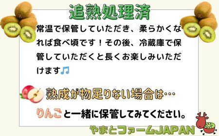 ＜12月頃発送＞奈良県 室生産 こだわり プレミアムキウイフルーツMサイズ17個×2箱入追熟処理済／ やまとファームJAPAN  果物 旬の食材 お取り寄せ お土産 贈答品 化学肥料不使用 特別栽培 