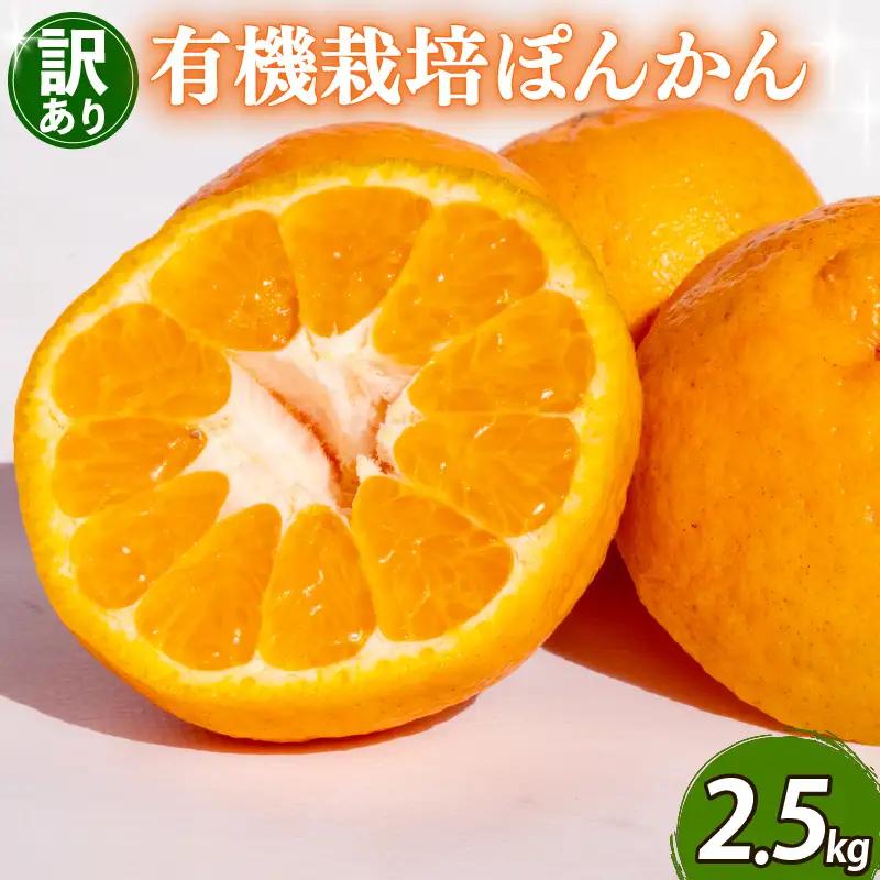 【先行予約】 【早期受付】 ぽんかん 2.5kg 訳あり 2027年2月より順次発送 須崎市