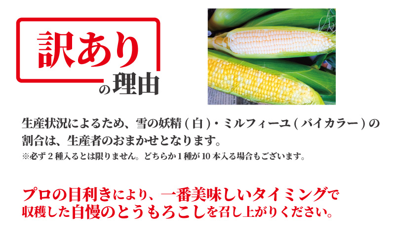 訳あり とうもろこし 計 10本 約 4 ～ 5kg おまかせ 雪の妖精 ミルフィーユ 訳アリ 訳有 朝採り とれたて トウモロコシ 先行予約 2026年6月発送 コーン 新鮮 ジューシー 甘い 美味