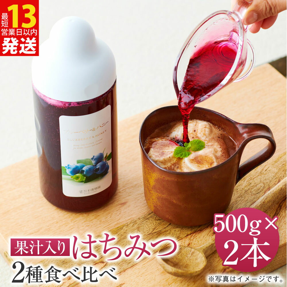 【ふるさと納税】 果汁入りはちみつ 500g 2種食べ比べ 合計1,000g 合計2本 ゆず蜜（500g×1本） 1種お選び（500g×1本） ゆず蜜 ブルーベリー 巨峰 アセロラ ラズベリー マンゴー アップル ハニーレモン メープルハニー 杉養蜂園 熊本市 送料無料