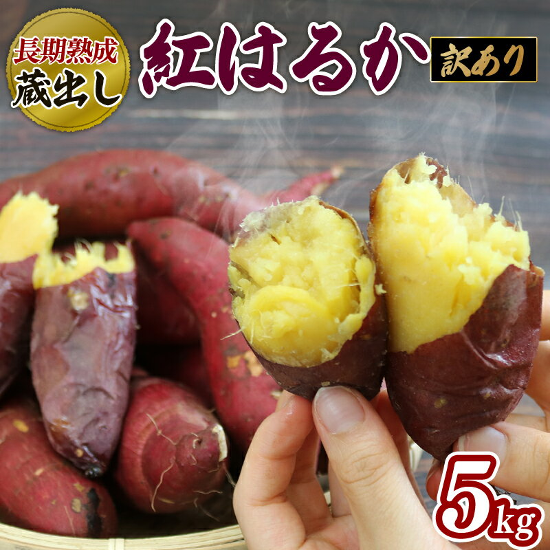 【ふるさと納税】 【2024年収穫 12月～順次発送】 訳あり さつまいも 5kg 紅はるか 熟成 蔵出し 芋 いも 野菜 焼き芋 おいも 食品 食べ物 国産 静岡 藤枝