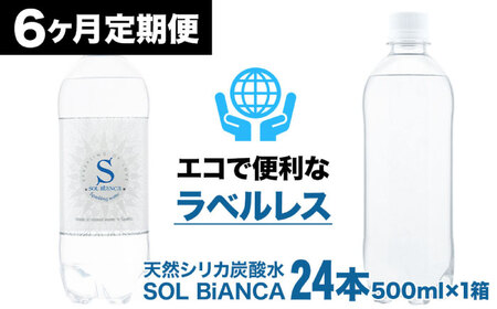 【全6回定期便】シリカ炭酸水 ソルビアンカ ラベルレス 500ml×24本 日田市 / 株式会社OTOGINO 炭酸 飲料 水[AREF131]