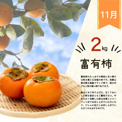【発送月固定定期便】紀州和歌山産旬のフルーツセット(バレンシア・巨峰・富有柿)全3回【配送不可地域：離島・北海道・沖縄県】