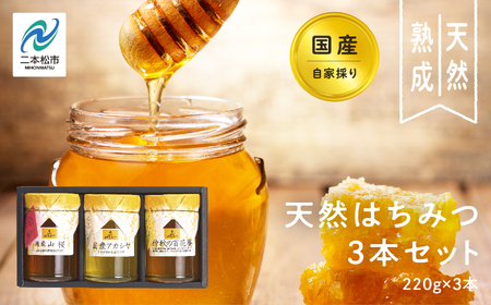 国産天然はちみつ 3本セット(220g×3) | ハチミツ 蜂蜜【株式会社渡辺養蜂場】