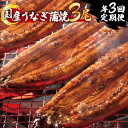 【ふるさと納税】うなぎ蒲焼 3尾セット600g以上(3回定期便) H-292 3ヶ月 毎月お届け 国産 鰻