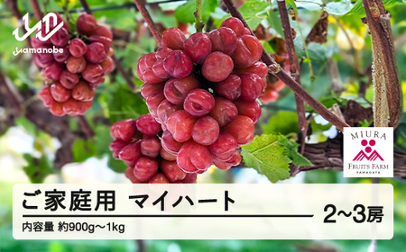 【先行予約】農業者支援 ぶどう マイハート 2〜3房セット ご家庭用 令和8年産 2026年産 山形県山辺町産 フルーツ 果物 ※沖縄・離島への配送不可 bg-bumxk1000