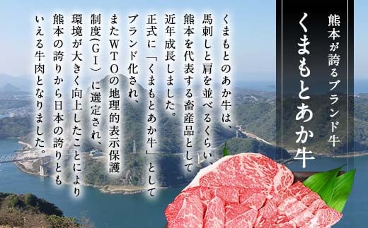 熊本県産 和牛 くまもとあか牛 焼肉 400g あか牛 国産 G-30