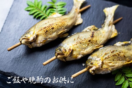 鮎の塩焼き 4尾 鮎 飛騨市 [Q711wx]