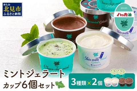 ミントジェラート カップ 3種×2個 ( ジェラート アイス アイスクリーム ハッカ チョコ ミント ミントアイス スイーツ チョコチップミント カカオ カップアイス )【007-0010】