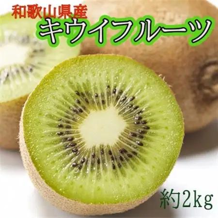 和歌山県産キウイフルーツ約2kg(サイズ混合)【日高町】【1712687】