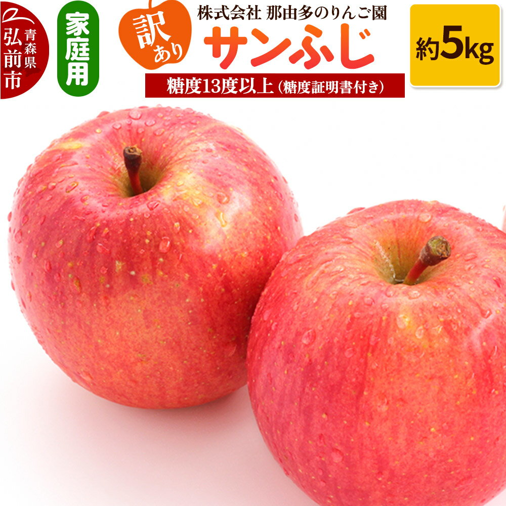 【ふるさと納税】りんご【訳あり】家庭用 サンふじ 約5kg 糖度13度以上（糖度証明書付）