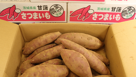 さつまいも 【 シルクスイート 】 5kg ( 箱込 ) サツマイモ さつま芋 芋 いも 野菜 焼き芋 スイーツ おやつ 国産