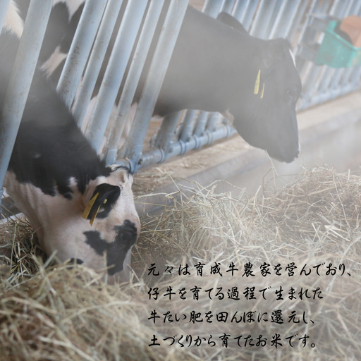 令和7年産 平泉町産 ひとめぼれ 玄米5kg / こめ コメ 米 お米 おこめ 白米 ご飯 ごはん ライス 山水【aoki006A】