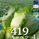 【ふるさと納税】まぼろしの419キャベツ 4玉 きゃべつ 嬬恋村産キャベツ 羽生田売店 幻のキャベツ419 産地直送 期間限定 先行予約 人気 朝採り 通販 お取り寄せ 関東 群馬 出荷時期限定