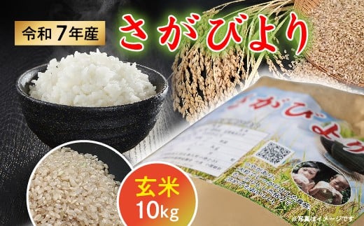 令和7年産 さがびより 玄米 10kg【数量限定】|佐賀県産 令和7年度産 米 おこめ お米 こめ ごはん ご飯 コメ ブランド米 人気 おすすめ 10キロ 国産 _c-147