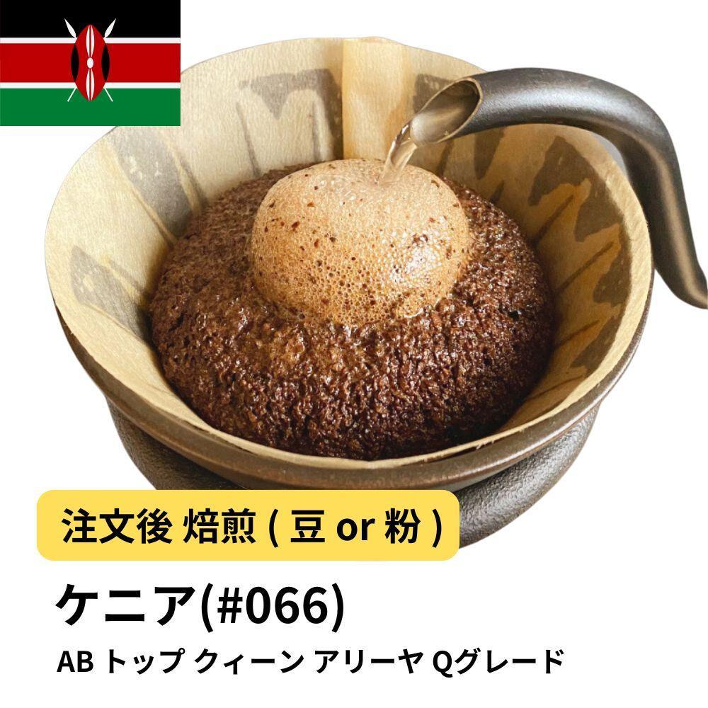 【ふるさと納税】コーヒー #066 ケニア AB トップ クィーン アリーヤ Qグレード 310g 当日焙煎 大山珈琲 （豆または中挽きから選択） | 珈琲 飲料 コーヒー豆 ソフトドリンク 人気 おすすめ 送料無料