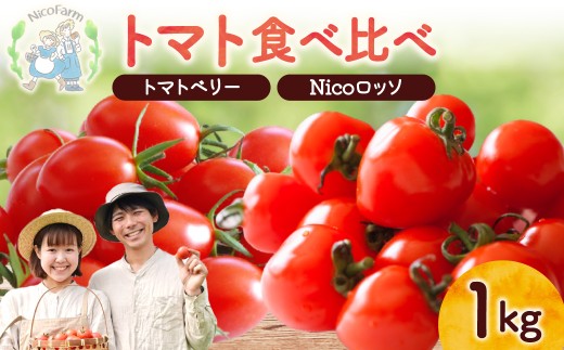 【先行予約2026年7月】子供も大好き！フルーツのように甘いミニトマト2種 各500g トマトベリー & Nicoロッソ_Y124-0020