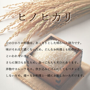 こしひかり ひのひかり 定期便 2ヶ月 精米済 10kg 新米 令和5年産 お米 ブランド米 糖質制限 農家直送