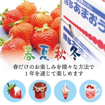 福岡県産冷凍あまおう1.6kg(800g×2袋)(岡垣町)【配送不可地域：離島】