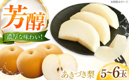 藤渕果樹園のあきづき梨 5～6玉入 〈2026年8月～発送〉 ／ フルーツ 果物 くだもの 食品 人気 おすすめ 送料無料 梨 なし 果実 あきづきなし 【株式会社内子フレッシュパークからり】 [BKAD046]