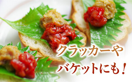 味噌 ささきのさかなみそ 8個 味噌[XAU001]