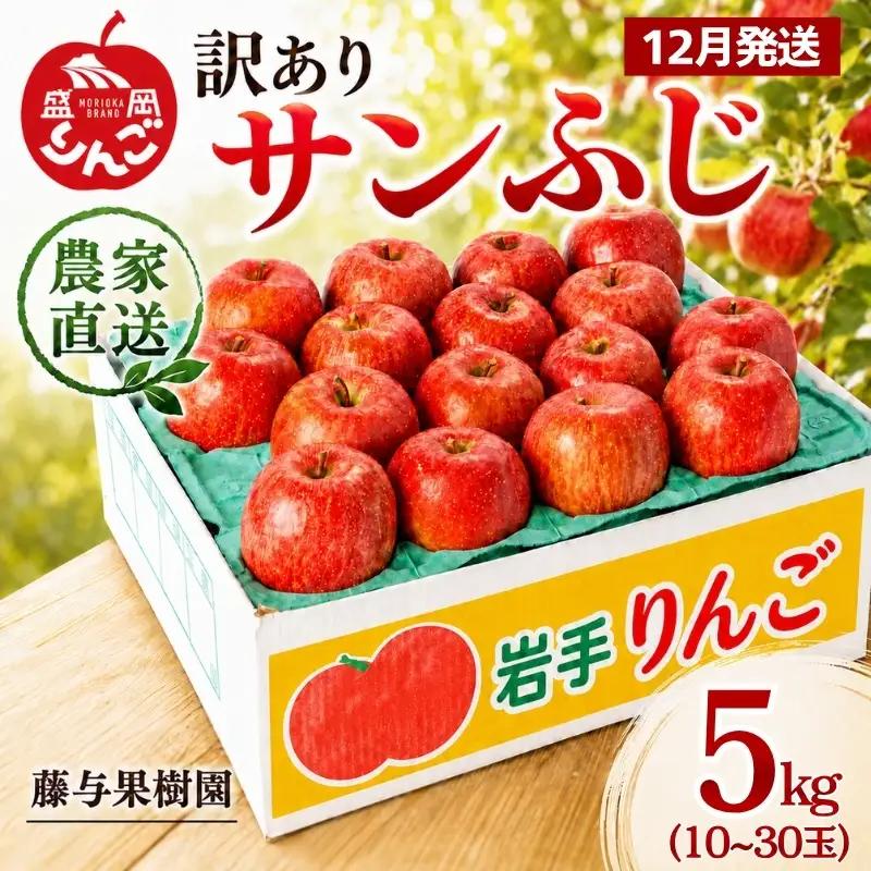 【12月発送】訳ありサンふじ5kg りんご 藤与果樹園 サンふじ fujiyo002f