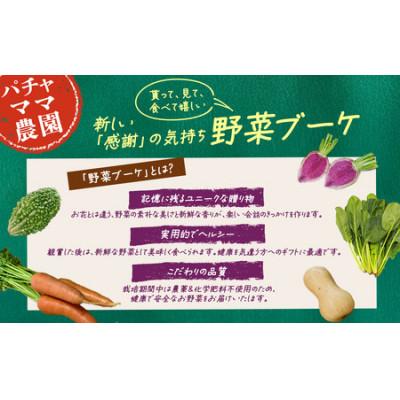 ふるさと納税 下妻市 野菜ブーケと情熱野菜セット9品　通常ギフト　メッセージカードつき |  | 01
