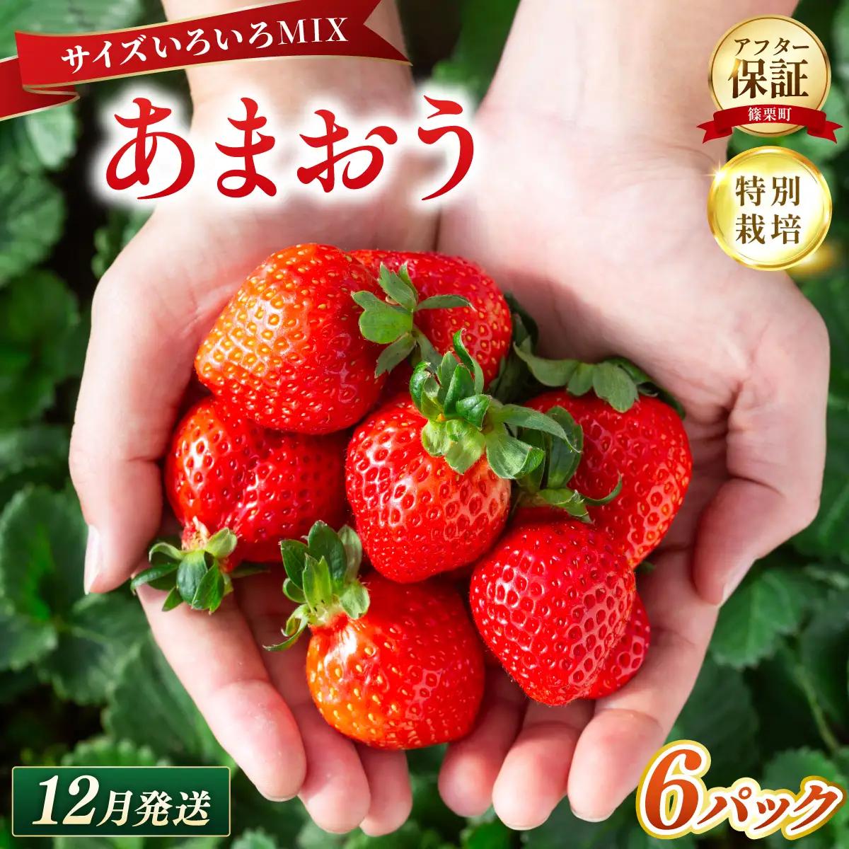 いちご 福岡県産 特別栽培 あまおう サイズいろいろMIX 約1710g（約285g×6パック）【12月発送】| 農園直送 アフター保証 先行予約 福岡産 送料無料 ケーキ ギフト お祝い 限定 季節限定 UN016