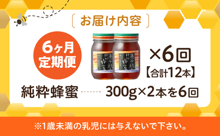 【6ヶ月定期便】日本みつばち 高千穂の純粋蜂蜜 300g×2本 セット 瓶 蜂蜜 はちみつ ハチミツ 百花蜜 自然蜜100% 調味料 定期 はちみつセット 瓶 贈答 贈り物 ギフト プレゼント おすそ