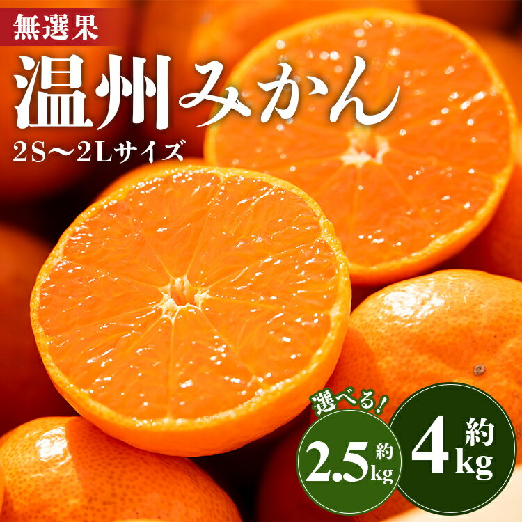【ふるさと納税】【選べる内容量】【無選果】温州みかん 約2.5kg/約4kg（2S〜2Lサイズ・大小混合）- ミカン 蜜柑 柑橘 柑橘類 フルーツ 果物 くだもの 甘い 家庭用 サイズ混合 高知県 香南市【常温】