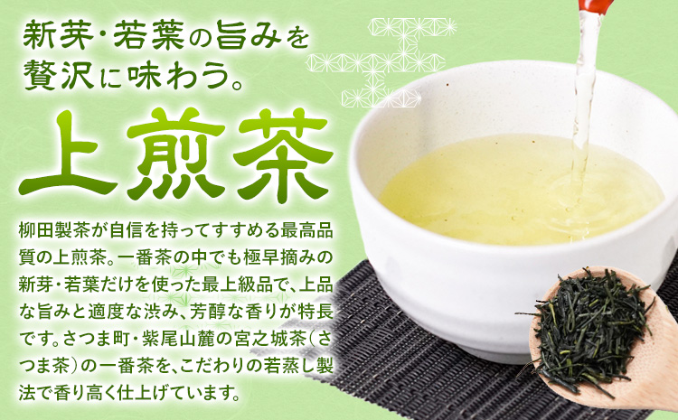 若蒸煎茶 上煎茶 3袋 計240g 柳田製茶《30日以内に出荷予定(土日祝除く)》鹿児島県 さつま町 おうち時間 ティータイム 水出し セット 煎茶 緑茶 日本茶 ギフト 贈答 プレゼント---stm