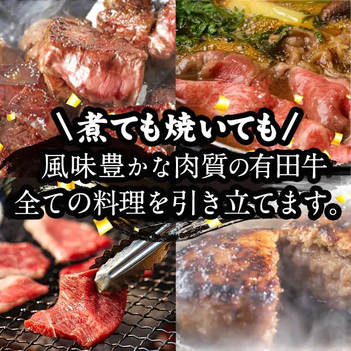 宮崎黒毛和牛カットオブビーフ切落し(500g)【AR001】【(有)有田牧畜産業 食肉加工センター】
