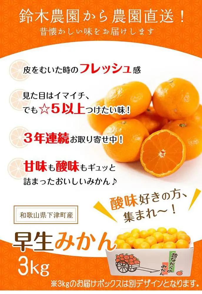 早生みかん 3kg 小粒サイズ 鈴木農園みかん