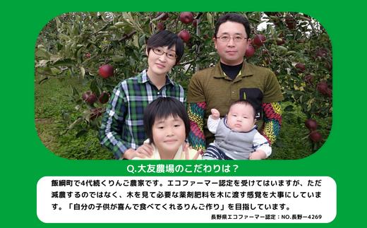 りんご 小ささに訳あり サンふじ（小玉）家庭用5kg 【令和6年度収穫分】 ※沖縄および離島への配送不可 ※2024年12月中旬頃から順次発送予定 大友農場 エコファーマー認定 長野県飯綱町 [138