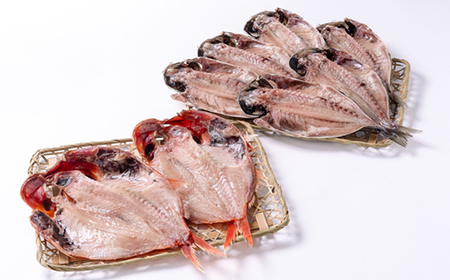 干物8枚セット【平蔵セット2】　平蔵のトロあじ6枚・特金目鯛2枚　伊豆の干物詰め合わせ静岡県伊東市_魚介・海産物 金目鯛 鮮魚 きんめだい キンメダイ  魚介・海産物  鮮魚 _【配送不可地域：離島】
