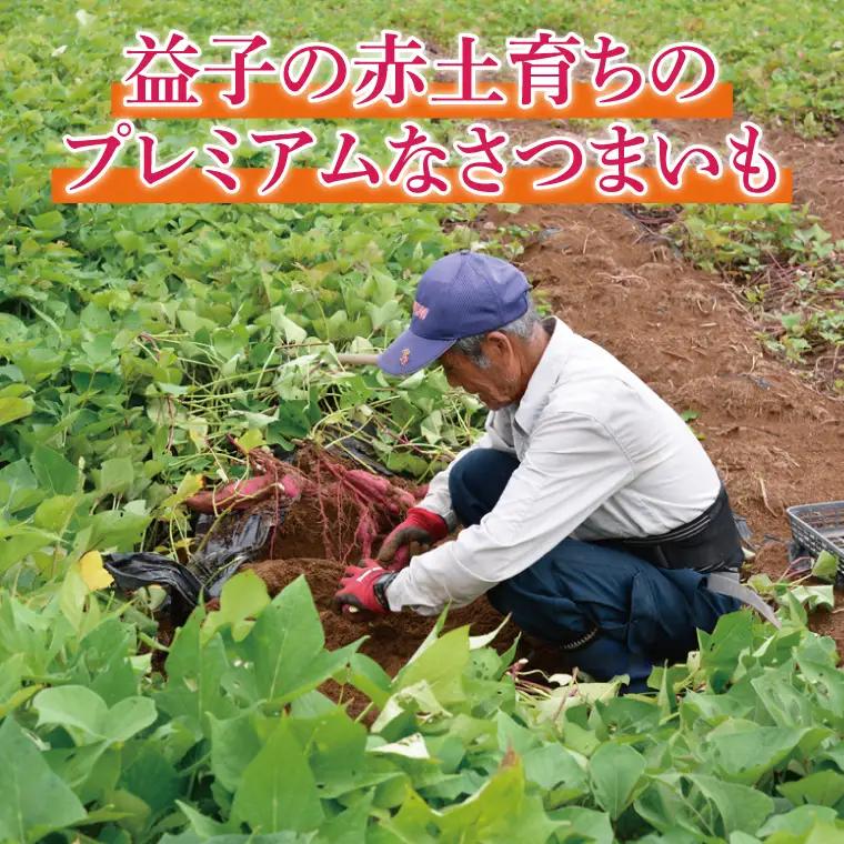 さつまいも 6kg 栗かぐや 益子町 AU016