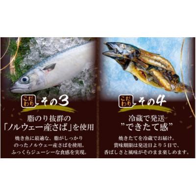ふるさと納税 越前町 【福井県 名物】丸焼き鯖 一本 職人の焼きで香ばしくジューシー |  | 03