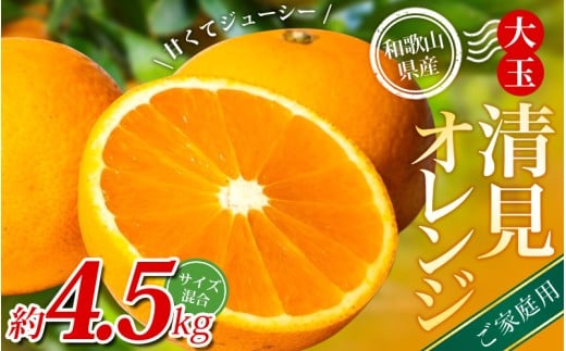 【家庭用】 森本農園の手選別 大玉清見オレンジ 約4.5kg 和歌山県産 サイズ混合 【北海道・沖縄・離島配送不可】【2026年2月上旬～5月中旬頃に順次発送】【BV-mrmt074】