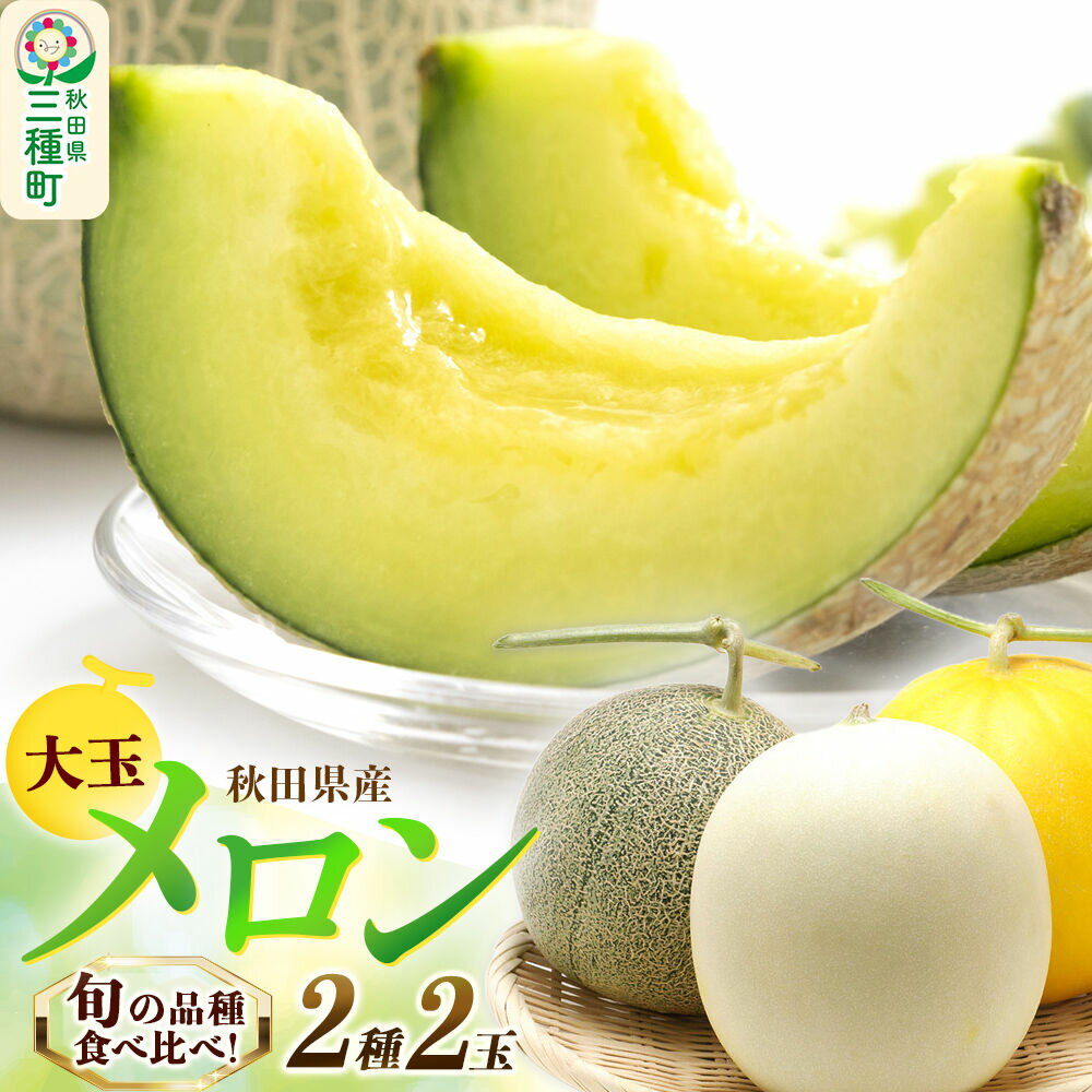 【ふるさと納税】旬のメロン 大玉 2種類 2玉 果物 フルーツ 秋田県産 [メロン 果物 フルーツ 旬 獲りたて 甘い]