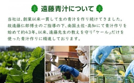 遠藤青汁5.6kg【生】冷凍 | 100g✕56パック 生青汁 国産青汁 ケール100％青汁 青汁セット